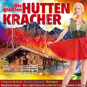 Various - Die größten Hüttenkracher (32 Titel auf 2 CDs inkl. I sing a Liad für di, Brenna tuats guat, Bergbauernbuam...) - Preis vom 22.01.2023 06:12:01 h