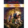 Enid Blyton - Fünf Freunde - 3 Abenteuer in einem Band: Sammelband 4 (Doppel- und Sammelbände, Band 4) - Preis vom 02.05.2024 04:56:15 h