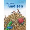 unbekannt - Bei den Ameisen - Preis vom 24.04.2024 05:05:17 h