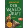 Moritz Matthies - Der Wald ruft: Roman - Preis vom 18.04.2024 05:05:10 h