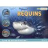 Michael Bright - Requins - Preis vom 27.03.2024 06:01:49 h