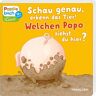 unbekannt - Schau genau, erkenn das Tier! Welchen Popo siehst du hier?: Ein Pappebuch mit Reimen zum Mitraten (Bilderbuch ab 18 Monate) - Preis vom 19.04.2024 05:01:45 h