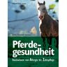 Strauch, Silvia Chr. - Pferdegesundheit. Basiswissen von Allergie bis Zahnpflege - Preis vom 19.04.2024 05:01:45 h