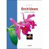 Isabelle Bert - Orchideen: Auswählen und pflegen - Preis vom 30.04.2024 04:54:15 h