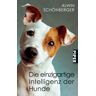 Alwin Schönberger - Die einzigartige Intelligenz der Hunde - Preis vom 02.05.2024 04:56:15 h
