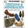 R.F. Symes - Sehen, Staunen, Wissen: Gesteine und Mineralien - Preis vom 27.03.2023 05:12:10 h