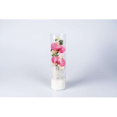 viva domo LED-Deko „OrchiDee im Glas“ viva domo LED-Deko „OrchiDee im Glas“