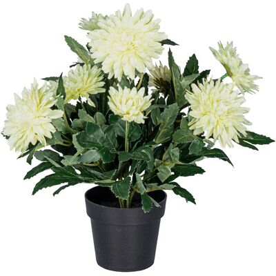 viva domo Kunstpflanze "Dahlien-Busch", 1 Stück, weiß viva domo Kunstpflanze "Dahlien-Busch", 1 Stück, weiß