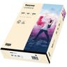 tecno Kopierpapier colors hellchamois DIN A4 120 g/qm 250 Blatt hellchamois