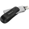 SanDisk USB-Stick iXpand Go schwarz, silber 256 GB schwarz/silber