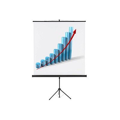 FRANKEN Projektionsleinwand X-tra!Line 150x150cm FRANKEN Projektionsleinwand X-tra!Line 150x150cm