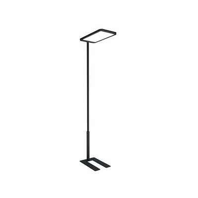 HAMMERBACHER Basic 1 LED Stehlampe grafit HAMMERBACHER Basic 1 LED Stehlampe grafit