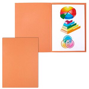 ELBA Aktendeckel Smart Line DIN A4 orange, 100 St. ELBA Aktendeckel Smart Line DIN A4 orange, 100 St.