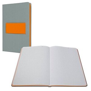 SIGEL Notizbuch Linescape ca. DIN A5 kariert, hellgrau, neon-orange Hardcover 176 Seiten, 1 St. SIGEL Notizbuch Linescape ca. DIN A5 kariert, hellgrau, neon-orange Hardcover 176 Seiten, 1 St.