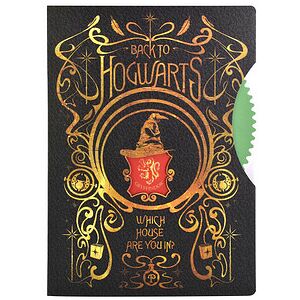 BlueSky Notizbuch Harry Potter - Spinner DIN A5 liniert, mehrfarbig Hardcover 80 Seiten, 1 St. BlueSky Notizbuch Harry Potter - Spinner DIN A5 liniert, mehrfarbig Hardcover 80 Seiten, 1 St.