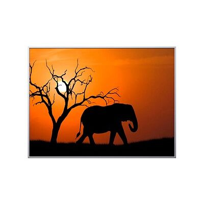 PAPERFLOW Wandbild Elefant - Aluminium, Kunstglas PAPERFLOW Wandbild Elefant - Aluminium, Kunstglas
