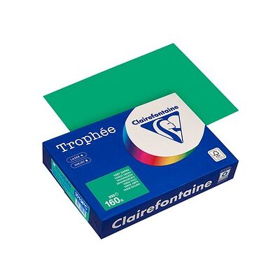 Clairefontaine Kopierpapier Trophée tannengrün DIN A4 160 g/qm 250 Blatt Clairefontaine Kopierpapier Trophée tannengrün DIN A4 160 g/qm 250 Blatt