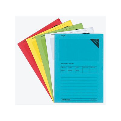 ÖKI Sichthüllen Ordo DIN A4 farbsortiert glatt 120 g/qm, 100 St. ÖKI Sichthüllen Ordo DIN A4 farbsortiert glatt 120 g/qm, 100 St.