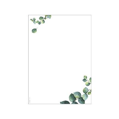 SIGEL Motivpapier weiß/grün DIN A4 90 g/m² 100 Blatt SIGEL Motivpapier weiß/grün DIN A4 90 g/m² 100 Blatt