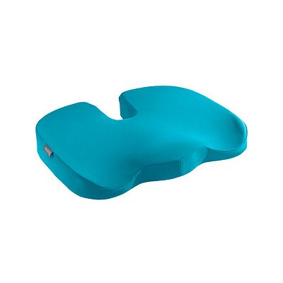 AKTION: LEITZ Sitzkissen Ergo Cosy blau 45,5 x 35,5 cm, 1 St. mit Prämie nach Registrierung AKTION: LEITZ Sitzkissen Ergo Cosy blau 45,5 x 35,5 cm, 1 St. mit Prämie nach Registrierung
