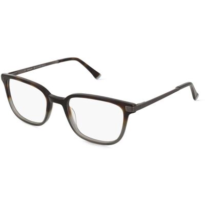 Fielmann BD 413 FLEX CL (1er Packung) Grau Fielmann BD 413 FLEX CL (1er Packung) Grau