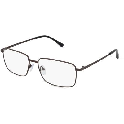 Fielmann BD 555 CL (1er Packung) Grau Fielmann BD 555 CL (1er Packung) Grau