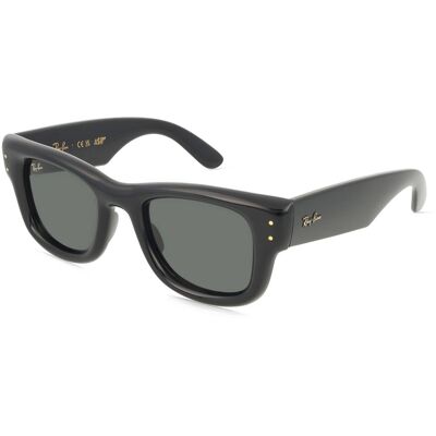 Ray-Ban RB4940 WAYFARER PUFFER Schwarz Ray-Ban RB4940 WAYFARER PUFFER Schwarz