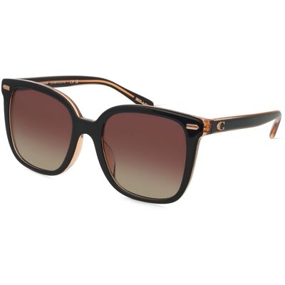 Coach HC8381U (1er Packung) Schwarz Coach HC8381U (1er Packung) Schwarz