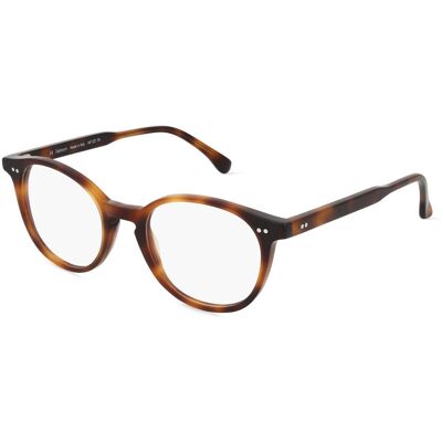 Fielmann MF 031 FA PEPE (1er Packung) Havanna Fielmann MF 031 FA PEPE (1er Packung) Havanna
