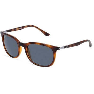 Ray-Ban RB4386 (1er Packung) Havanna Ray-Ban RB4386 (1er Packung) Havanna