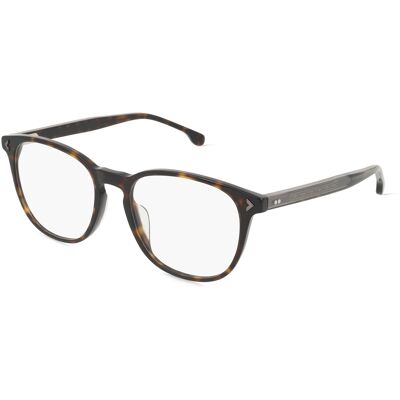 Lozza VL4291 0722 Braun - Brillenfassungen Lozza VL4291 0722 Braun - Brillenfassungen