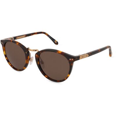 Polo Ralph Lauren 0RL8223 (1er Packung) Havanna Polo Ralph Lauren 0RL8223 (1er Packung) Havanna