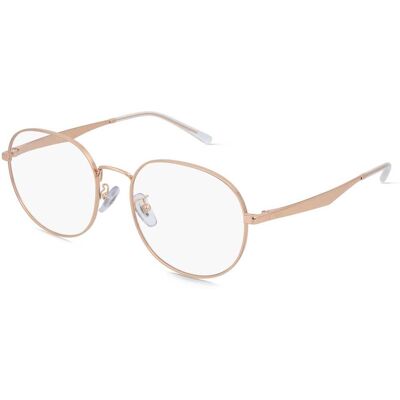 Ray-Ban - RX6517D - Panthos - Metall - Brille Ray-Ban - RX6517D - Panthos - Metall - Brille