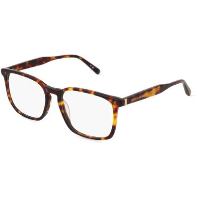 Scotch & Soda 4022 (1er Packung) Braun Scotch & Soda 4022 (1er Packung) Braun