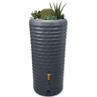 Garantia 2-in-1-Regenspeicher - grau grau Nonfood https://www.tchibo.at/products/173707554162/garantia-2-in-1-regentonne-komplett-set-ca-230-l?article_id=192678024946 Garantia 2-in-1-Regenspeicher - grau grau Nonfood https://www.tchibo.at/products/173707554162/garantia-2-in-1-regentonne-komplett-set-ca-230-l?article_id=192678024946
