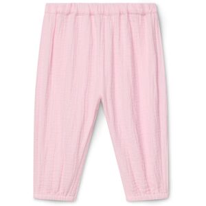 Tchibo - Baby-Musselin-Schlupfhose - Baby - Gr. 86/92 - rosa rosa Nonfood https://www.tchibo.at/products/108302727000/baby-musselin-schlupfhose?article_id=124496725884 Tchibo - Baby-Musselin-Schlupfhose - Baby - Gr. 86/92 - rosa rosa Nonfood https://www.tchibo.at/products/108302727000/baby-musselin-schlupfhose?article_id=124496725884