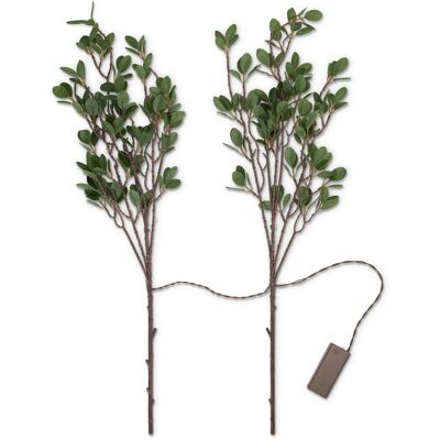Tchibo - 2 LED-Dekozweige - grün grün Nonfood https://www.tchibo.at/products/110135819281/2-led-dekozweige?article_id=199123403256 Tchibo - 2 LED-Dekozweige - grün grün Nonfood https://www.tchibo.at/products/110135819281/2-led-dekozweige?article_id=199123403256