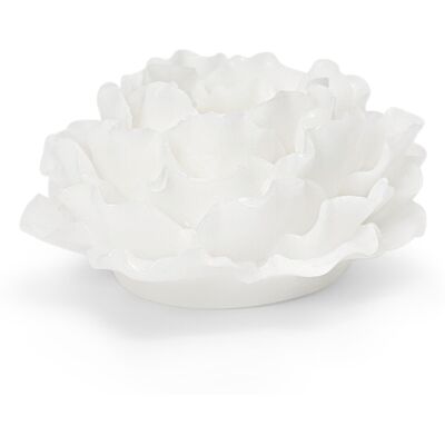 Tchibo - LED-Blume aus Echtwachs - offwhite offwhite Nonfood https://www.tchibo.at/products/156525172591/led-blume-aus-echtwachs?article_id=113144893313 Tchibo - LED-Blume aus Echtwachs - offwhite offwhite Nonfood https://www.tchibo.at/products/156525172591/led-blume-aus-echtwachs?article_id=113144893313