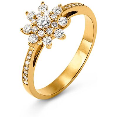 Tchibo - 585 Gold-Ring mit 31 Brillanten - Gr. 17 - gold gold Nonfood https://www.tchibo.at/products/155650426932/585-gold-ring-mit-31-brillanten-stern?article_id=169507474940 Tchibo - 585 Gold-Ring mit 31 Brillanten - Gr. 17 - gold gold Nonfood https://www.tchibo.at/products/155650426932/585-gold-ring-mit-31-brillanten-stern?article_id=169507474940