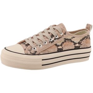 Tom Tailor Sneaker - Damen - Gr. 42 - beige beige Nonfood https://www.tchibo.at/products/175222389018/tom-tailor-sneaker?article_id=122199738764 Tom Tailor Sneaker - Damen - Gr. 42 - beige beige Nonfood https://www.tchibo.at/products/175222389018/tom-tailor-sneaker?article_id=122199738764