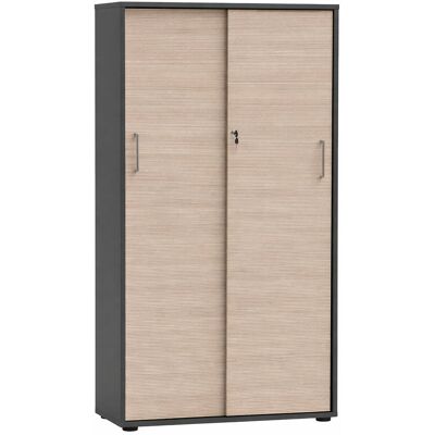 Tchibo - Aktenschrank »Metz« - 80,1x38,2x150cm - silber - silber Nonfood https://www.tchibo.at/products/187012322724/aktenschrank-metz-2-schiebetueren-gross?article_id=117330278461 Tchibo - Aktenschrank »Metz« - 80,1x38,2x150cm - silber - silber Nonfood https://www.tchibo.at/products/187012322724/aktenschrank-metz-2-schiebetueren-gross?article_id=117330278461