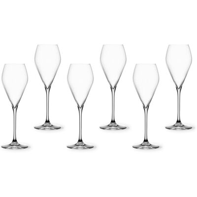 Spiegelau - Champagnerglas Spezial 230 ml 6er Pack - Transparent Spiegelau - Champagnerglas Spezial 230 ml 6er Pack - Transparent