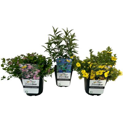 Tchibo - Bienengarten - blau blau Nonfood https://www.tchibo.at/products/194091020584/bienengarten?article_id=103715482923 Tchibo - Bienengarten - blau blau Nonfood https://www.tchibo.at/products/194091020584/bienengarten?article_id=103715482923