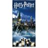 Harry Potter Handtuch »Velourstuch«, (1 St.)  blau  B/L: 70 cm x 140 cm (1 St.) blau