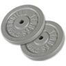 GORILLA SPORTS Hantelscheiben »Gusseisen - 2 x 15 kg Silber«, (Set, 2 tlg.)  silberfarben silberfarben