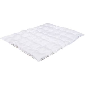 Träumeland Daunen-Steppbettdecke Daunentraum 100x135 cm 7.0 TOG - weiss - Unisex