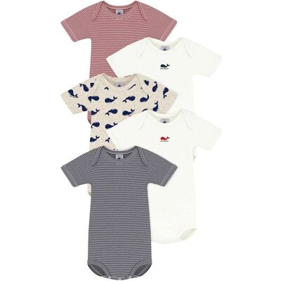Petit Bateau 5er-Pack Bodys kurzarm Ringel Wale - mehrfarbig - Unisex - Size: 74 Petit Bateau 5er-Pack Bodys kurzarm Ringel Wale - mehrfarbig - Unisex - Size: 74
