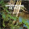 CD "Spaziergang am Bach"