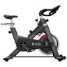 ICG Indoor Bike "IC2"