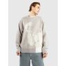 Nike SB Swtr Knt Corposk8 Gfx Strickpullover lt iron ore lt iron ore XL Unisex